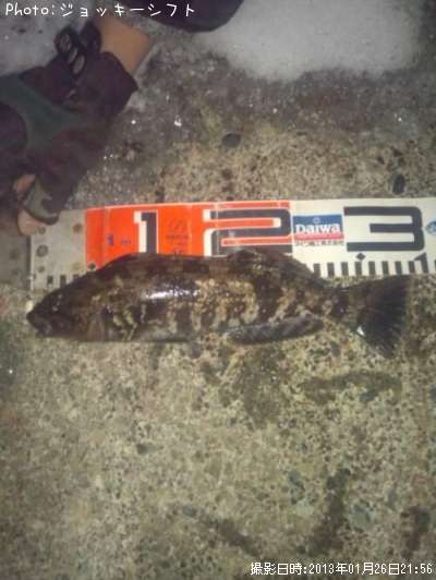 �����ʥ�