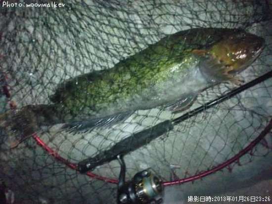 �����ʥ�