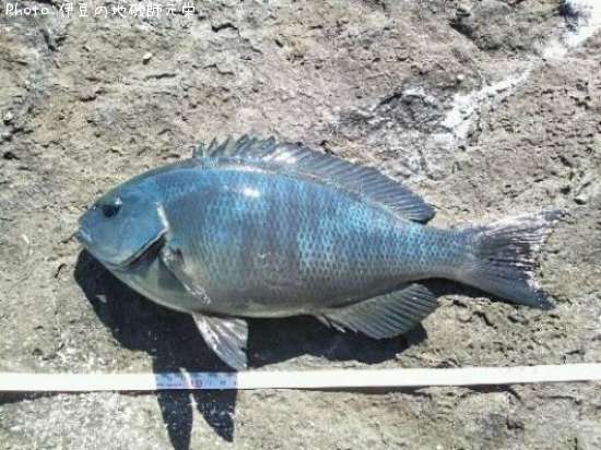 �����᥸��