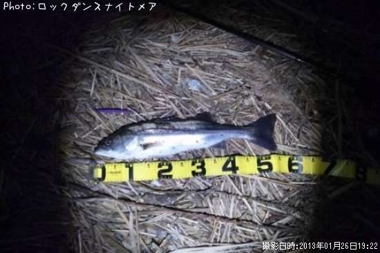 �����Х�