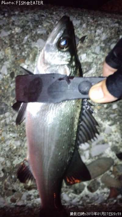 �ҥ饻����