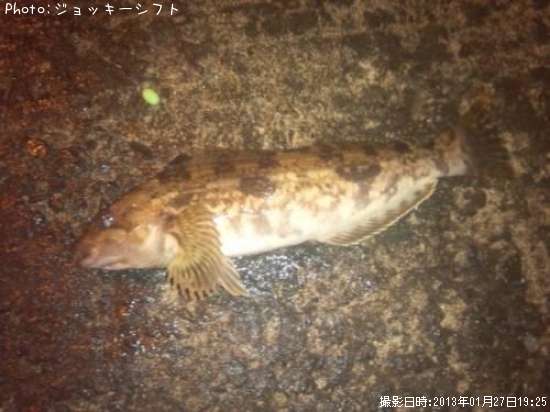 �����ʥ�