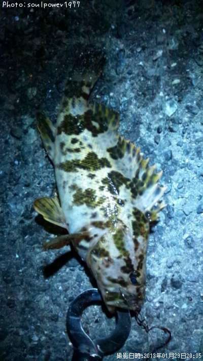 �����Υ���Х�