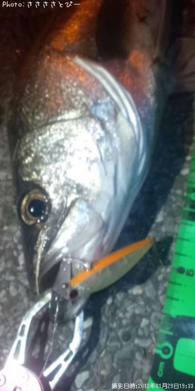 �����Х�