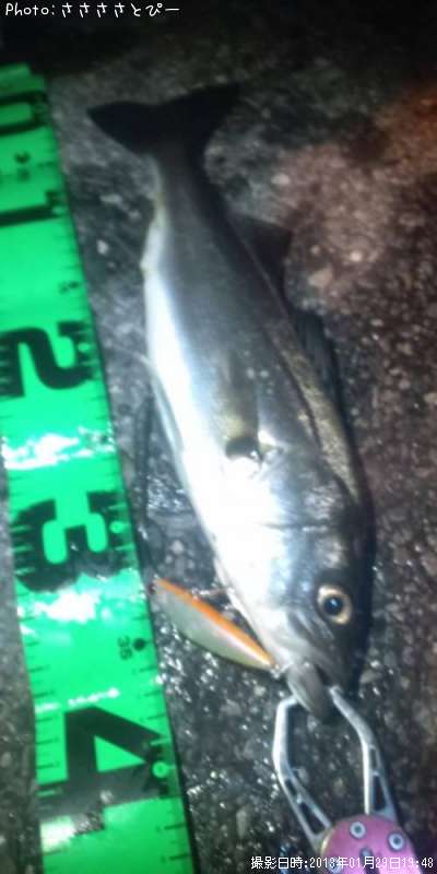 �����Х�