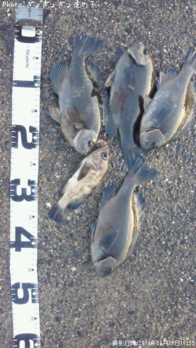 �᥸�ʡ���Х�