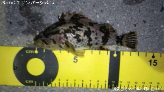 �����Υ���Х�