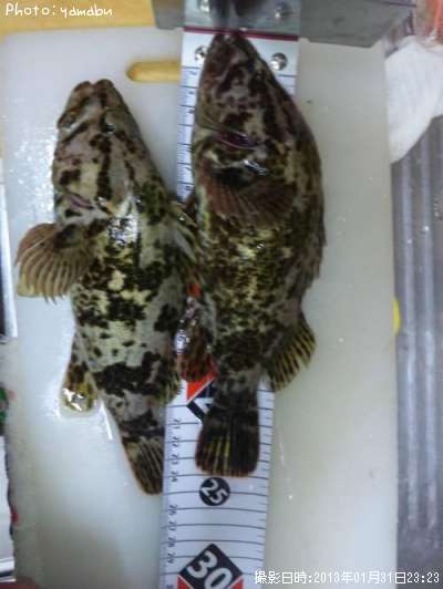 �����Υ���Х�