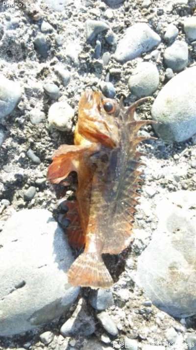 �ϥ�����