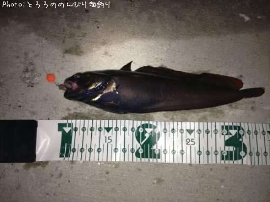 �������������ʥ�