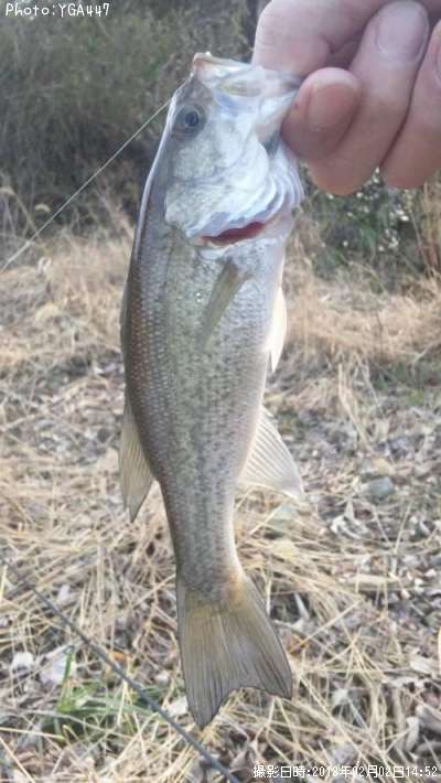 �֥�å��Х�