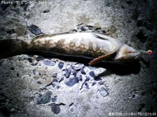 �����ʥ�