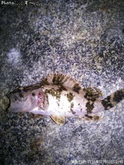 �����Υ���Х�