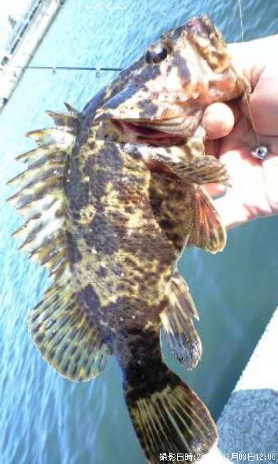 �������������