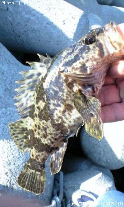 �������������