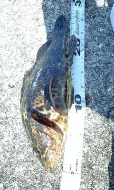 �������������