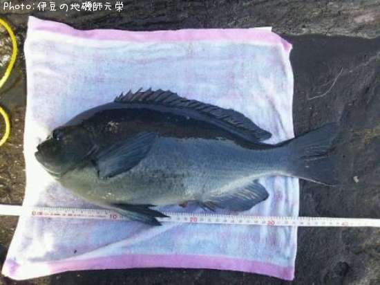 �����᥸��