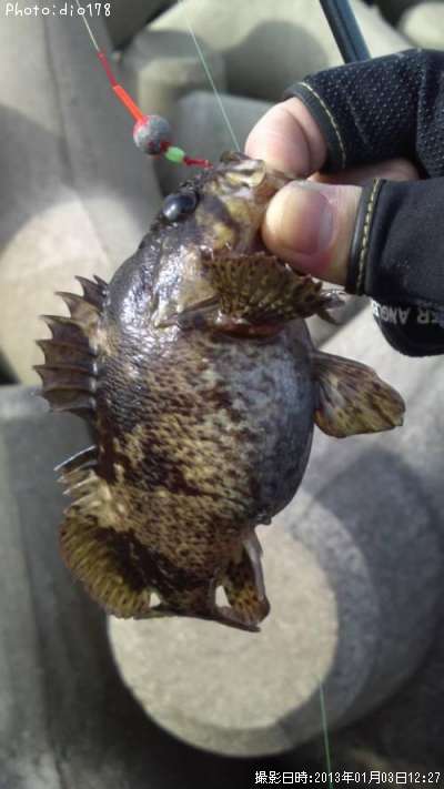 �����Υ���Х�