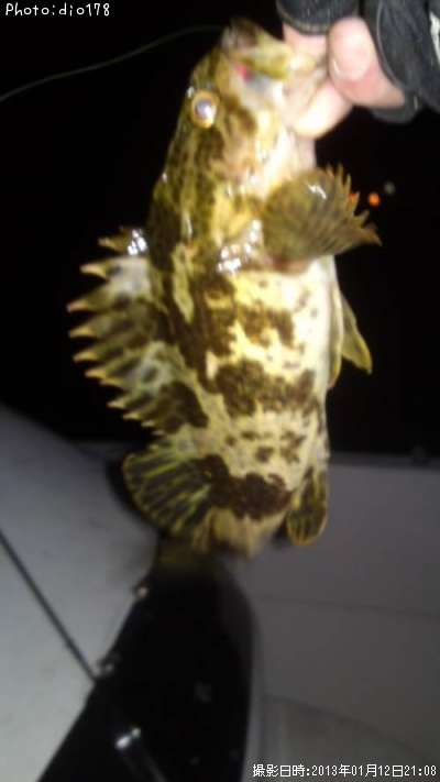 �����Υ���Х�