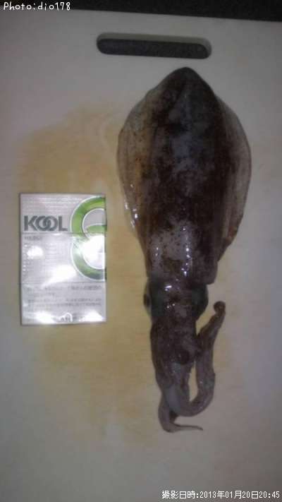 �����ꥤ��