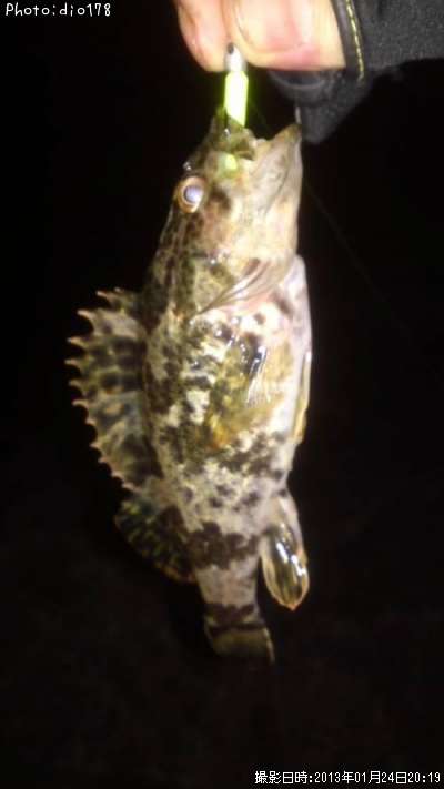 �����Υ���Х�