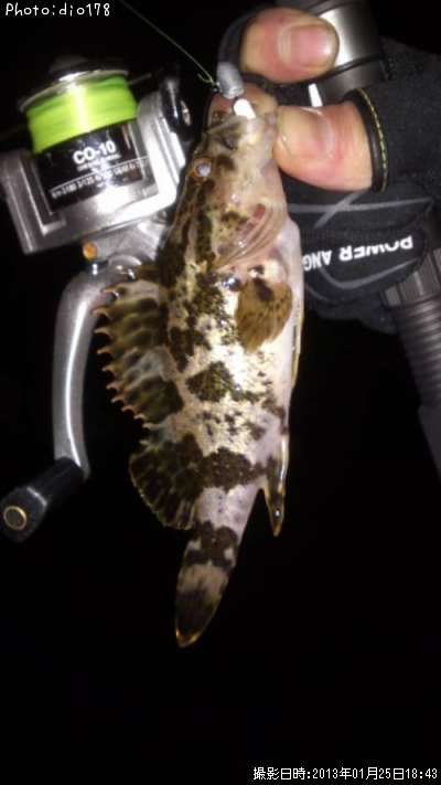 �����Υ���Х�