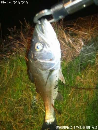 �����Х�