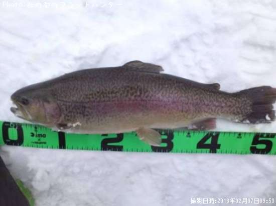 ���å��ȥ饦��