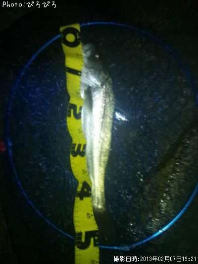 �����Х�