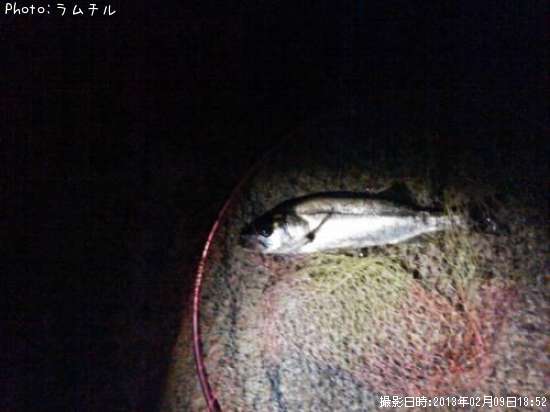 �����Х�