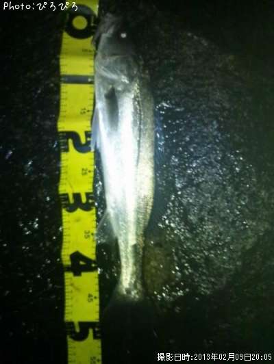 �����Х�