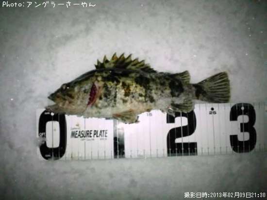 �����Υ���Х�