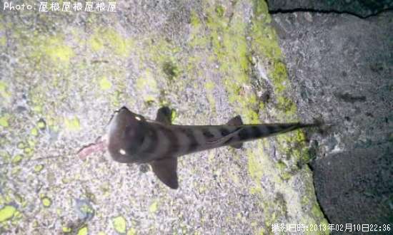 �ޤ�������