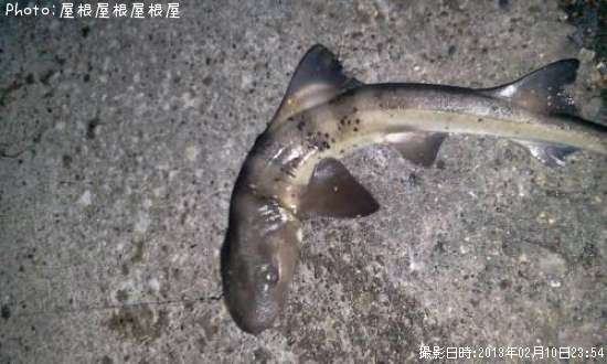 �ޤ�������