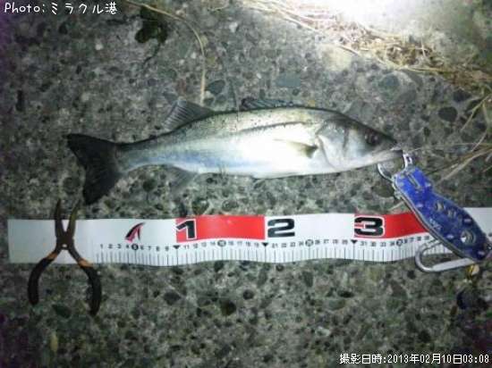 �����Х�