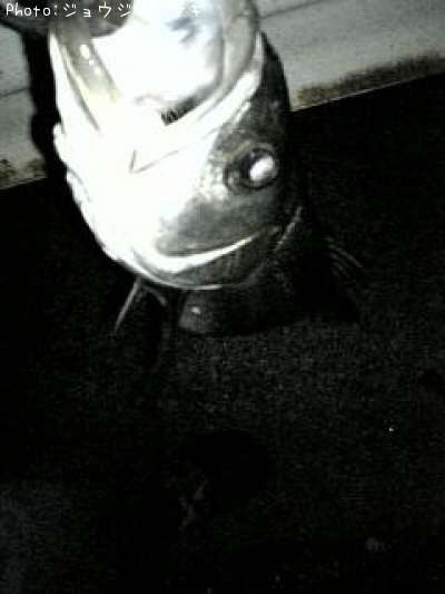 �����Х�