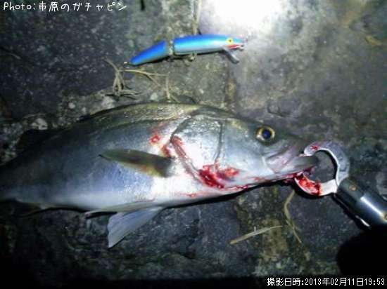 �����Х�