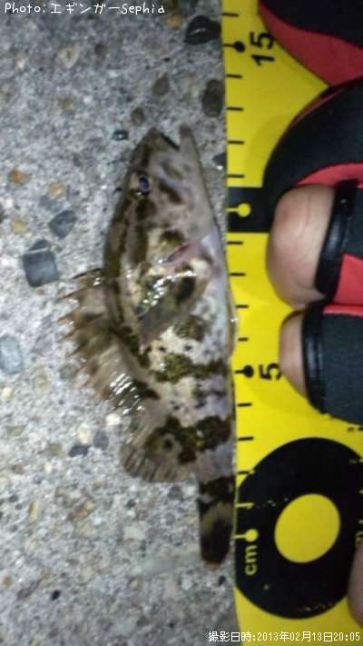 �����Υ���Х�