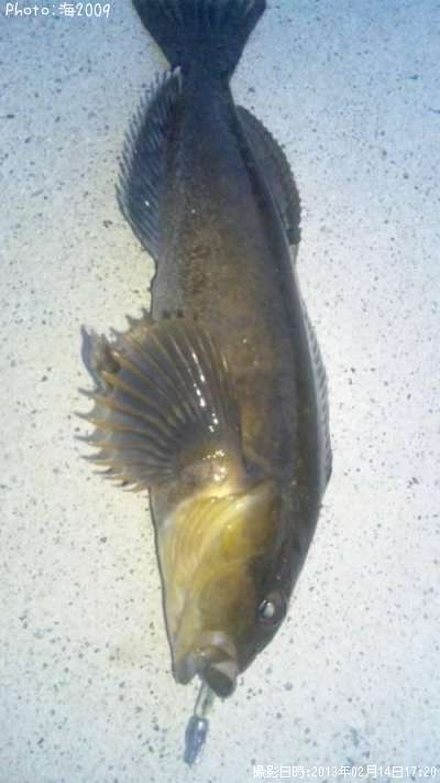 �����ʥ�