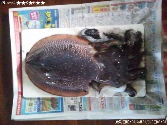 ���֥���