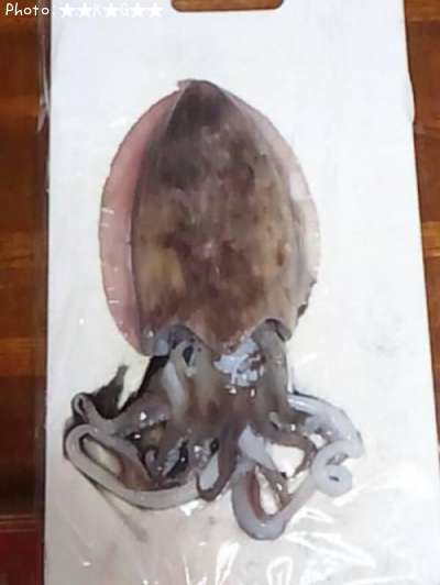 ���֥���