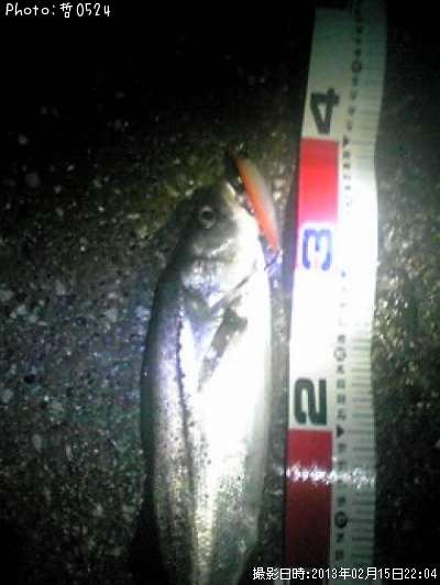 �����Х�