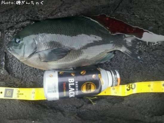 �����᥸��