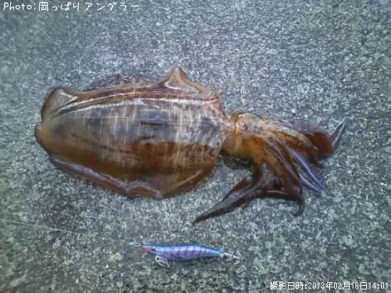 �����ꥤ��