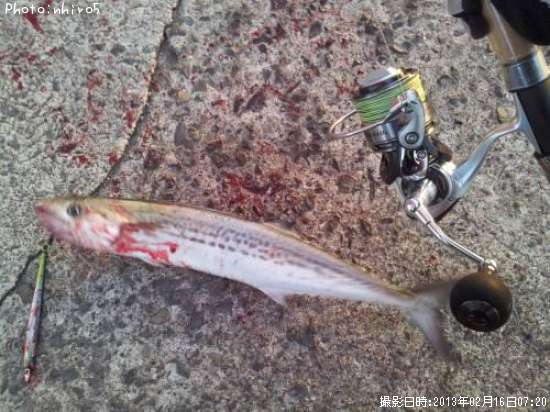 �����å���