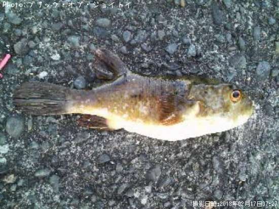 ������ե�