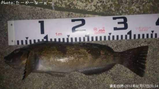 �����ʥ�