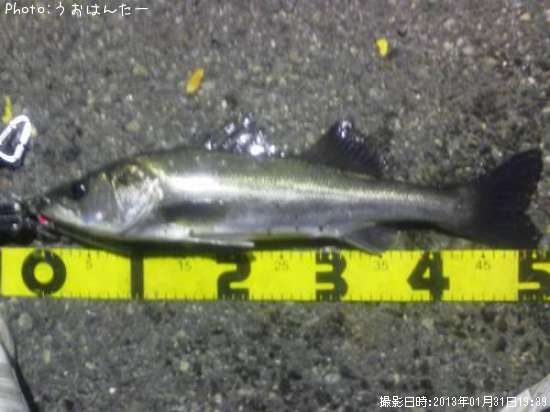 �����Х�