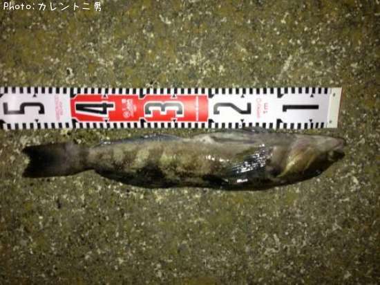 �����ʥ�