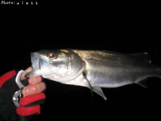 �����Х�